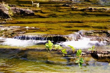 国产春色在线,探寻中国电影中的青春与色彩